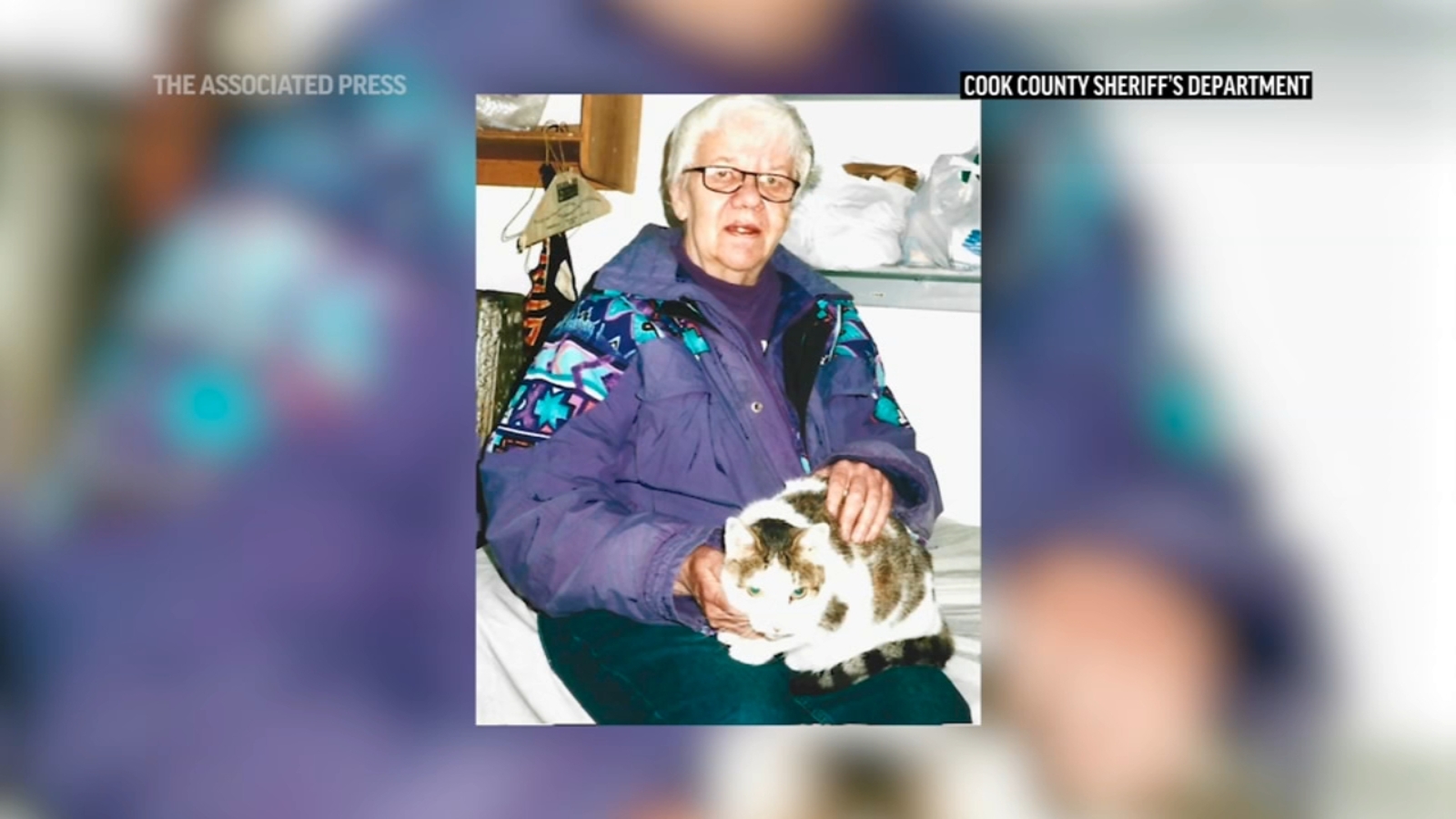 Cook County Sheriff's Office investigators solve cold case of Seven Doe, or Reba C. Bailey: a missing person with no memory - Vimarsana News