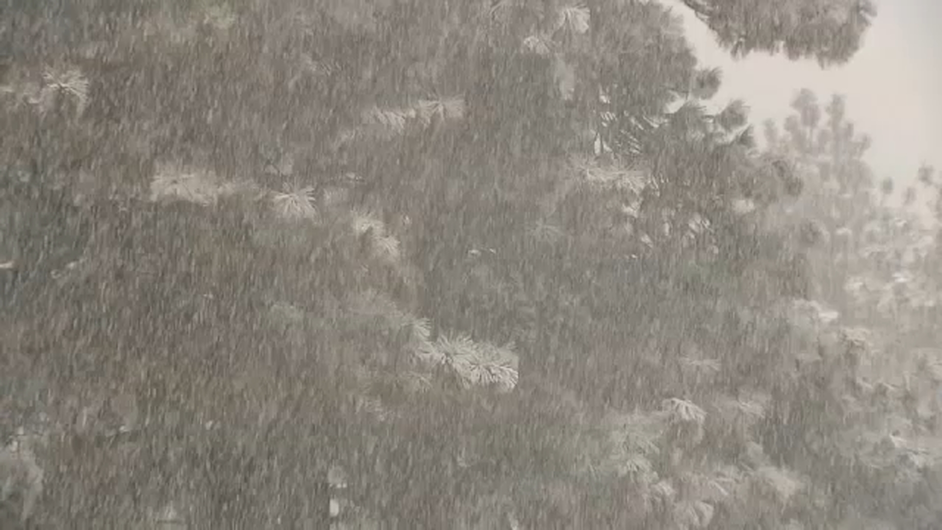Tormenta invernal traerá pulgadas de nieve al sur de California