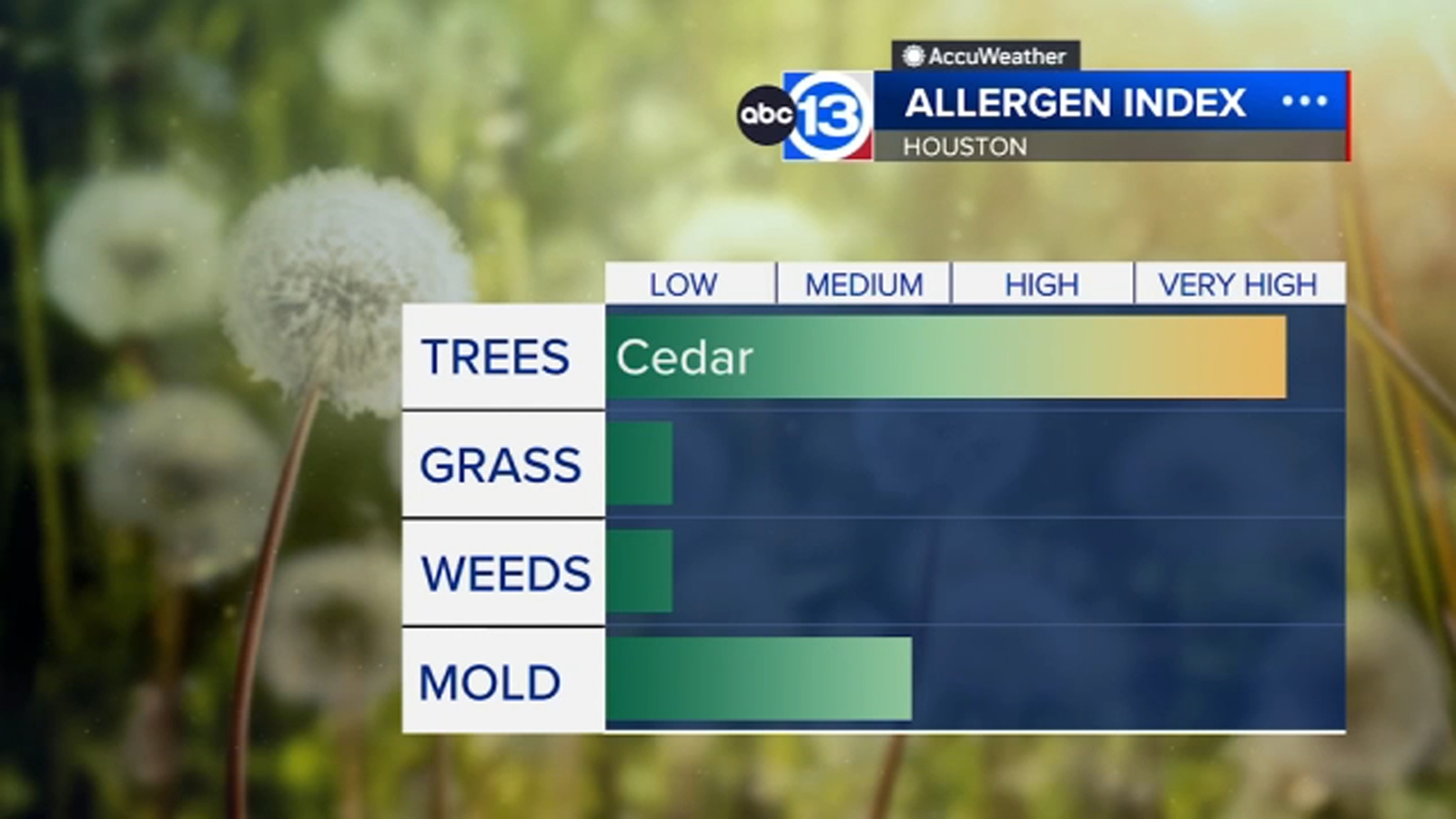 Cedar pollen counts originating near Austin and Hill Country expected