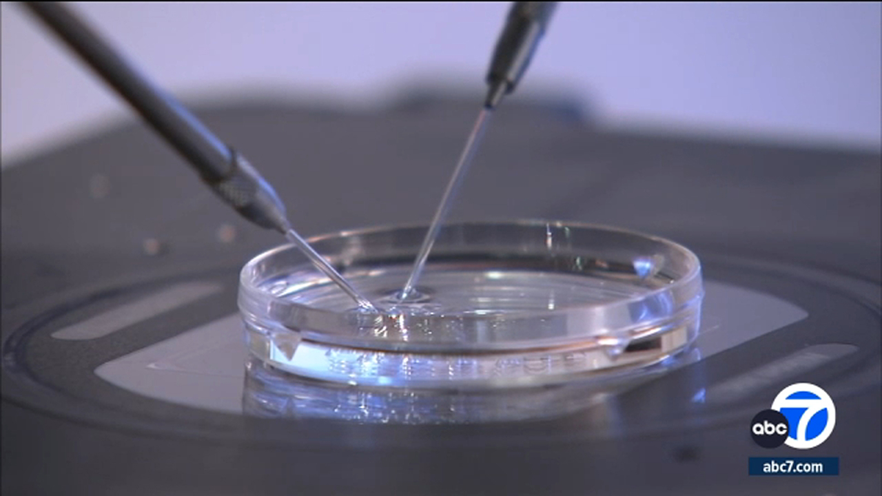 LA couples sue CooperSurgical, allege solution killed embryos