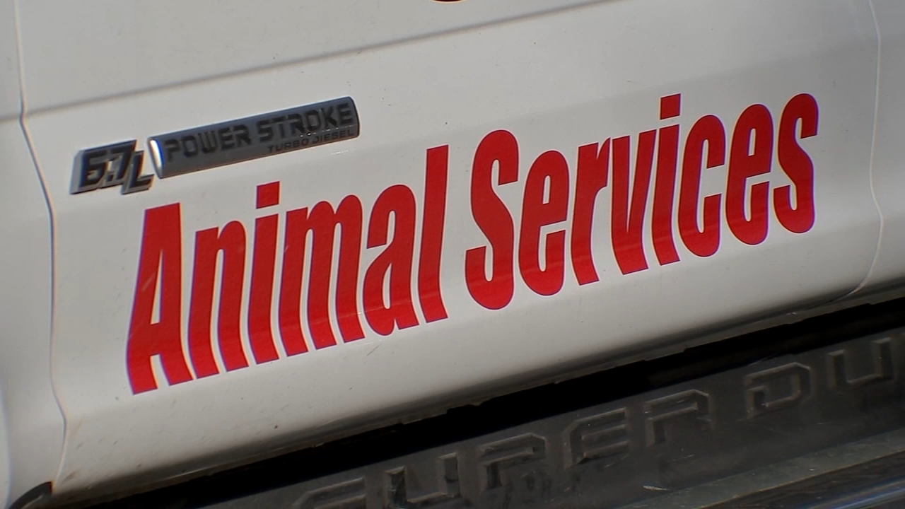 Dog caught being attacked in graphic video in Montgomery Co.