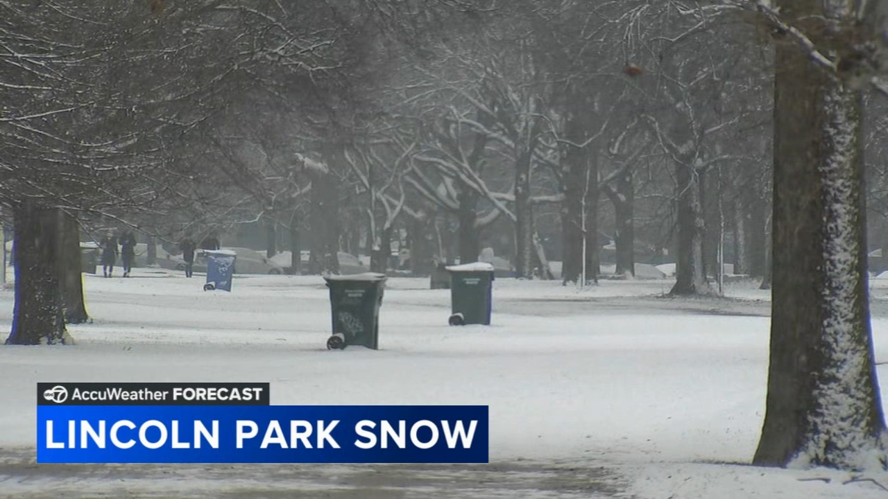 Snow falls across Chicago area Saturday