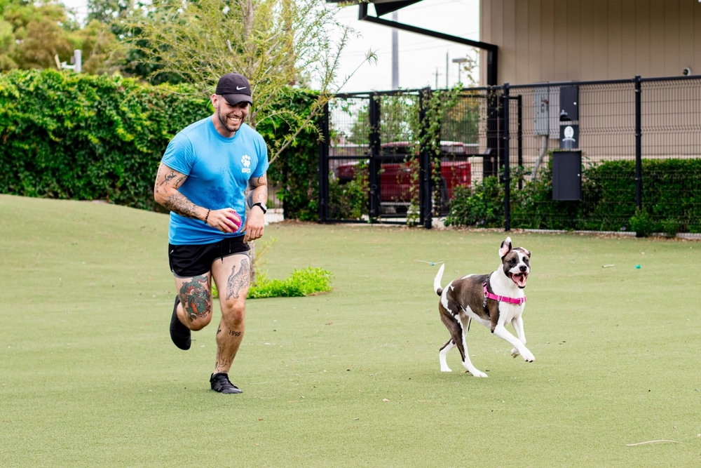 Veteran running to give a voice to those who can't speak