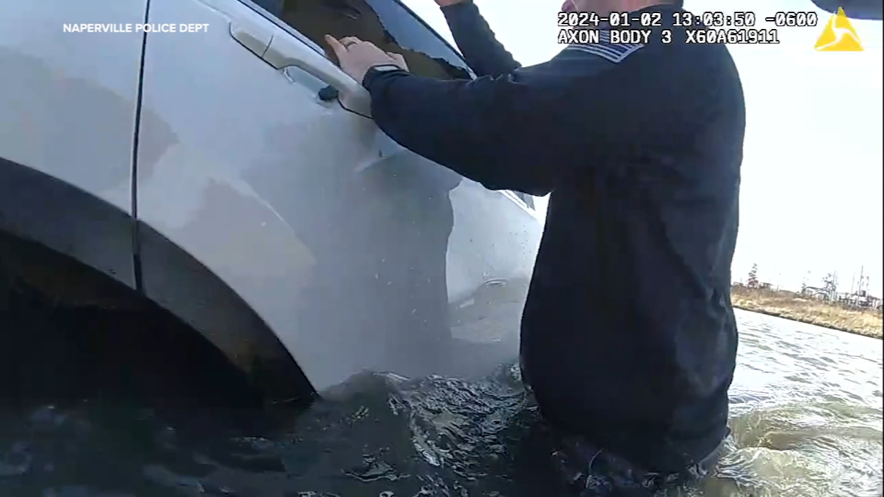 Officers rescue 2 adults, child after car crashes into pond: VIDEO