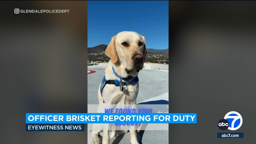 New Glendale police dog to offer emotional support to victims