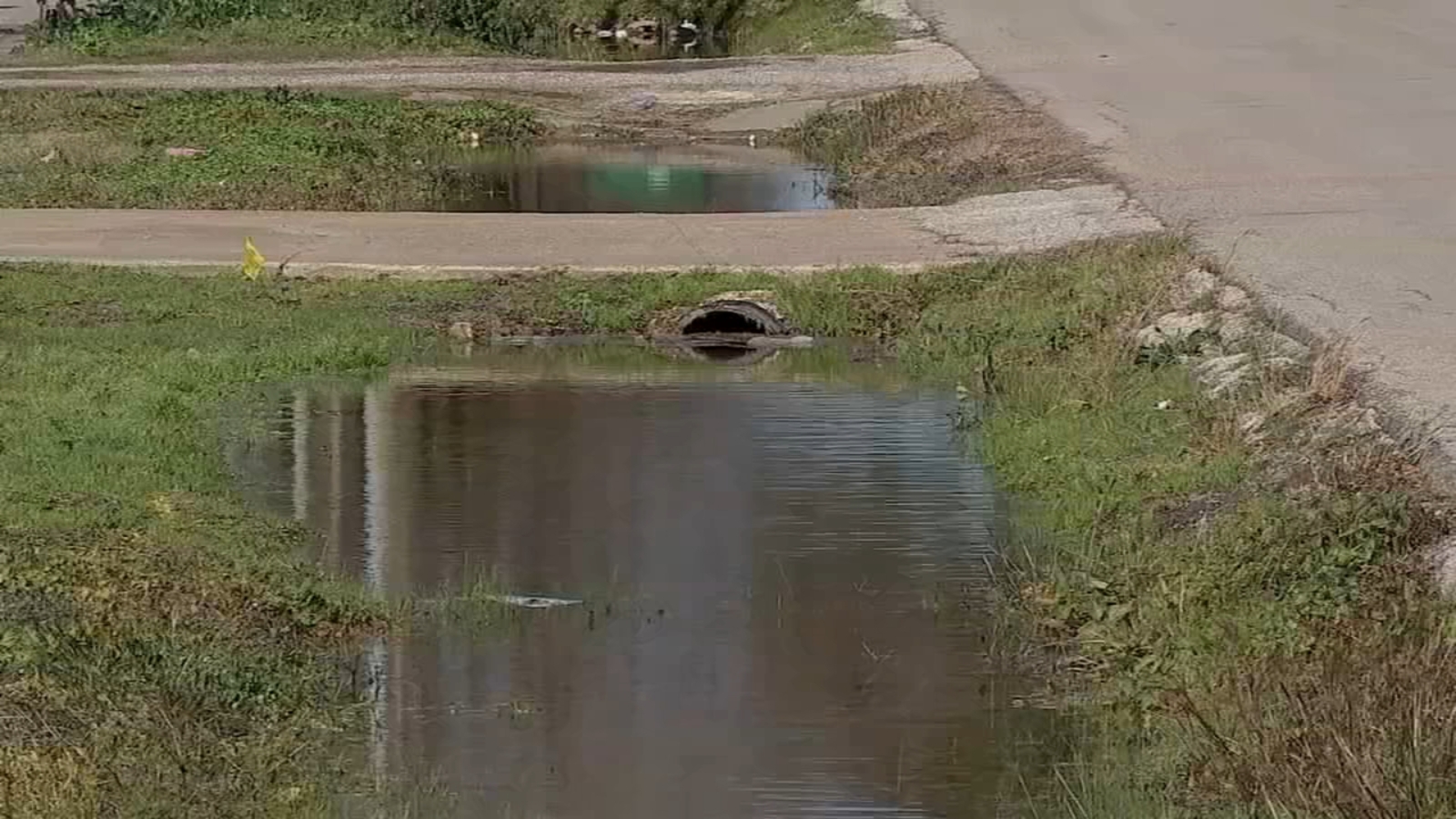 Houston water leaks: Neighbors on Colfax Street worry the freeze will add on more problems to an unfixed flood, ruining yards - Vimarsana News