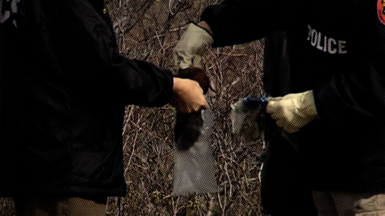 'Eyewitness to Gilgo Beach' documentary Chapter 3: The serial killer investigation leads to more bodies in 2011 - Vimarsana News