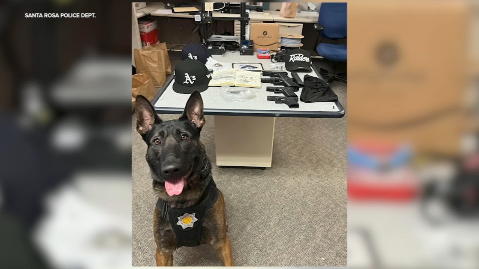6 Santa Rosa high school students arrested for attempted homicide after allegedly stabbing man, police say - Vimarsana News
