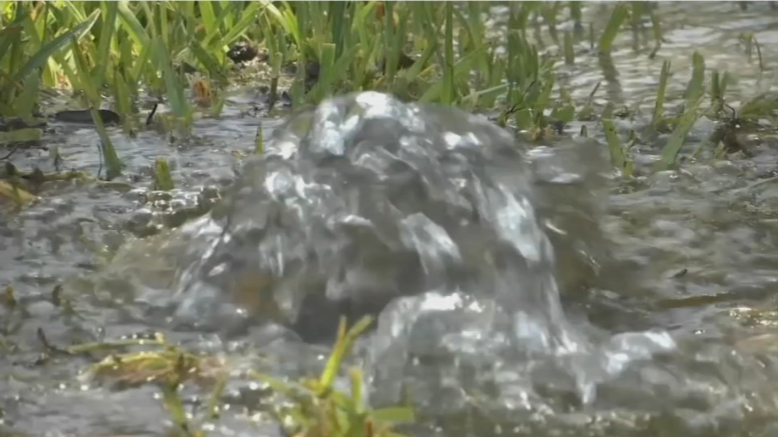 City of Houston investigation: Contractors frustrated over months with non-payment after fixing many water leaks - Vimarsana News