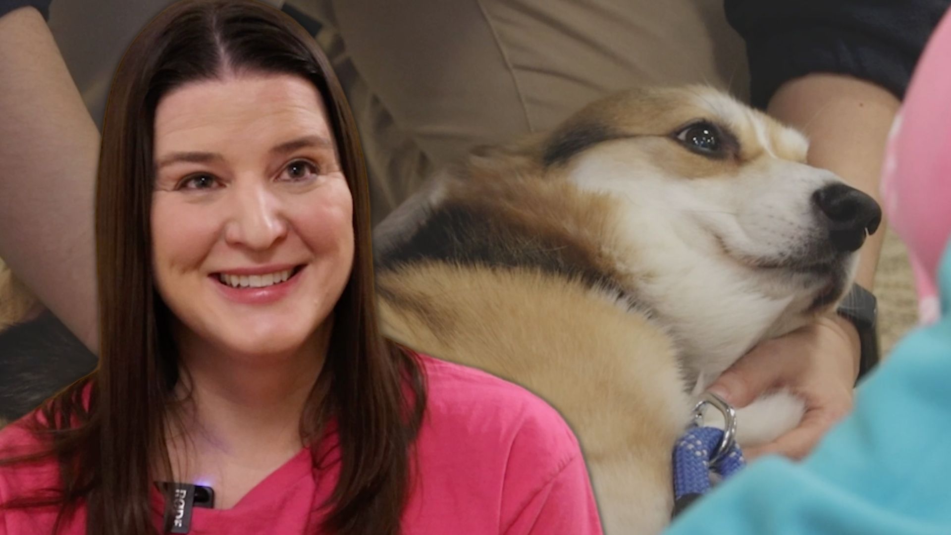  Pa. woman helps animals treat community members to pet therapy