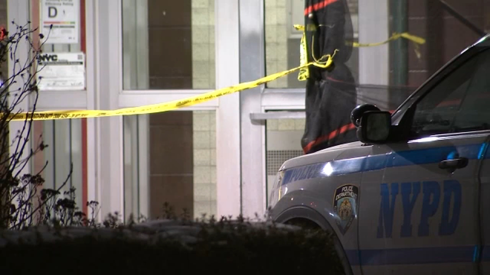 Woman killed after mother and son apparently stab each other in Brooklyn apartment, family dog found dead, police say - Vimarsana News