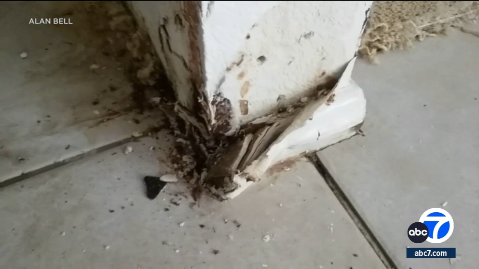 Owner of Newport Beach apartment complex sued by former tenants over