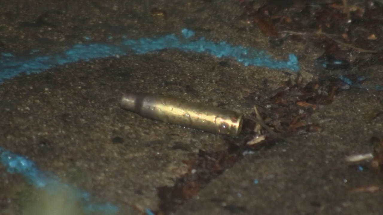 Family unharmed as police investigate suspected arson, shooting outside Hunting Park home