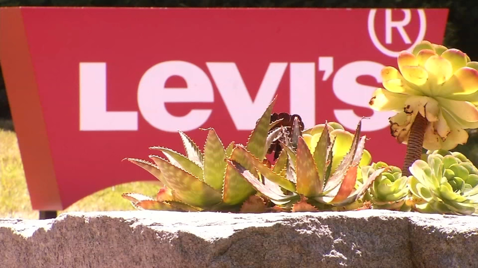 San Francisco-based Levi Strauss & Co. to slash global workforce by up to 15% as part of 2-year restructuring plan - Vimarsana News