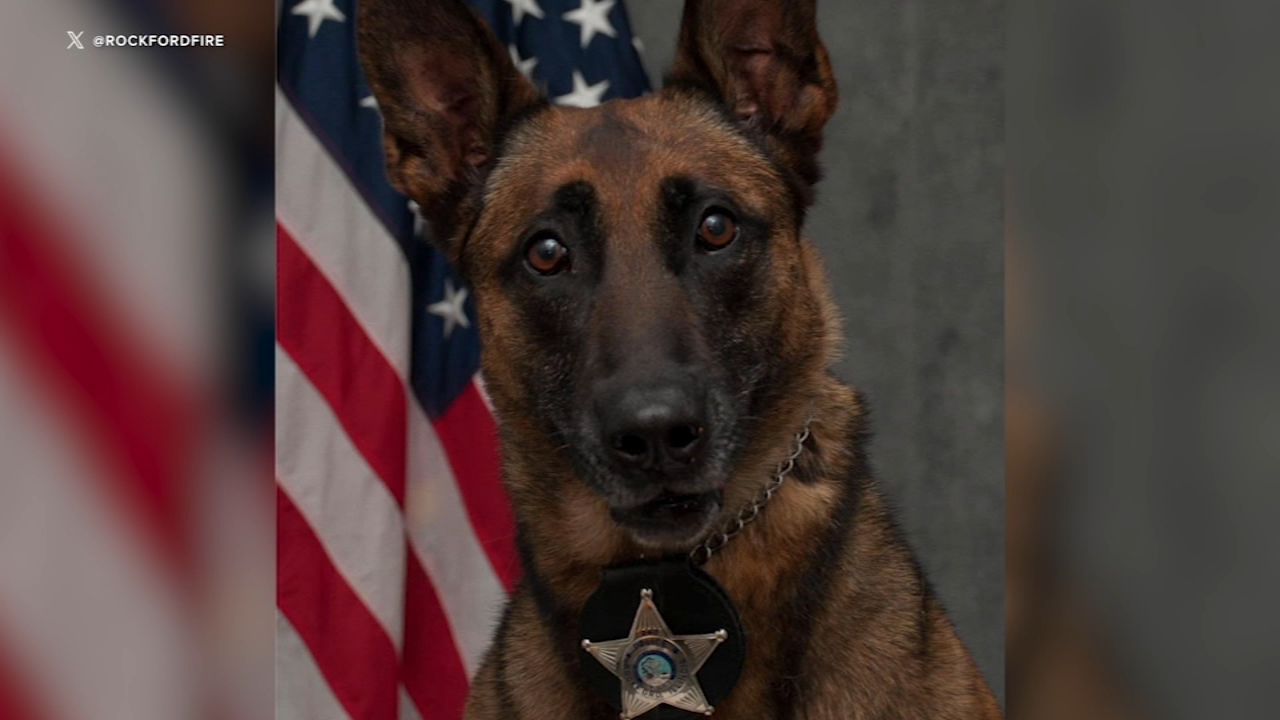 Rockford police K9 killed in line of duty