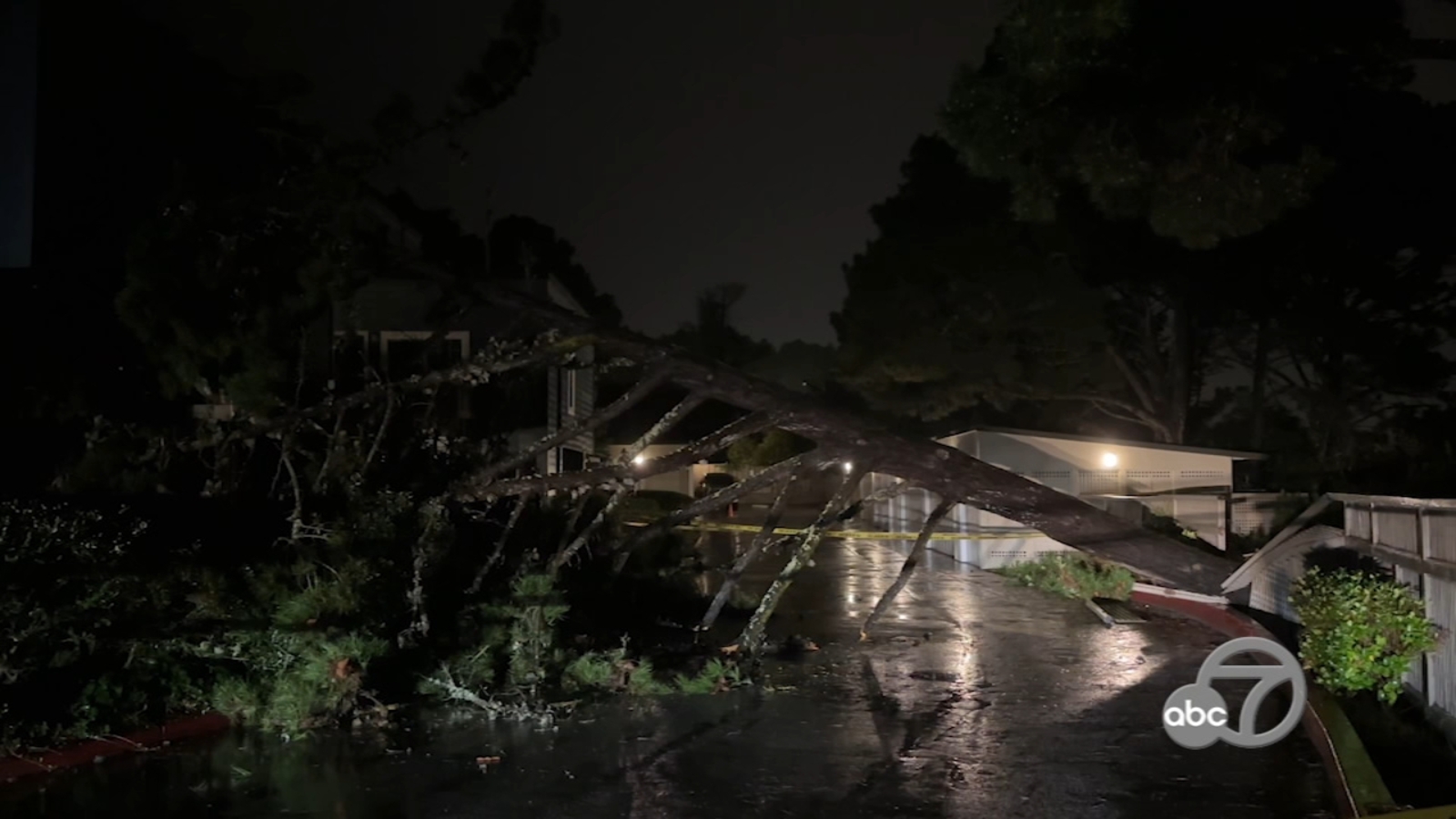 Atmospheric river California 2024 live updates: Large tree falls on Daly City apartment building - Vimarsana News