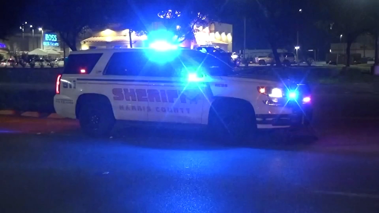 Shoplifters open fire on 99 Cents Only Store employee and her family in NE Harris Co., deputies say