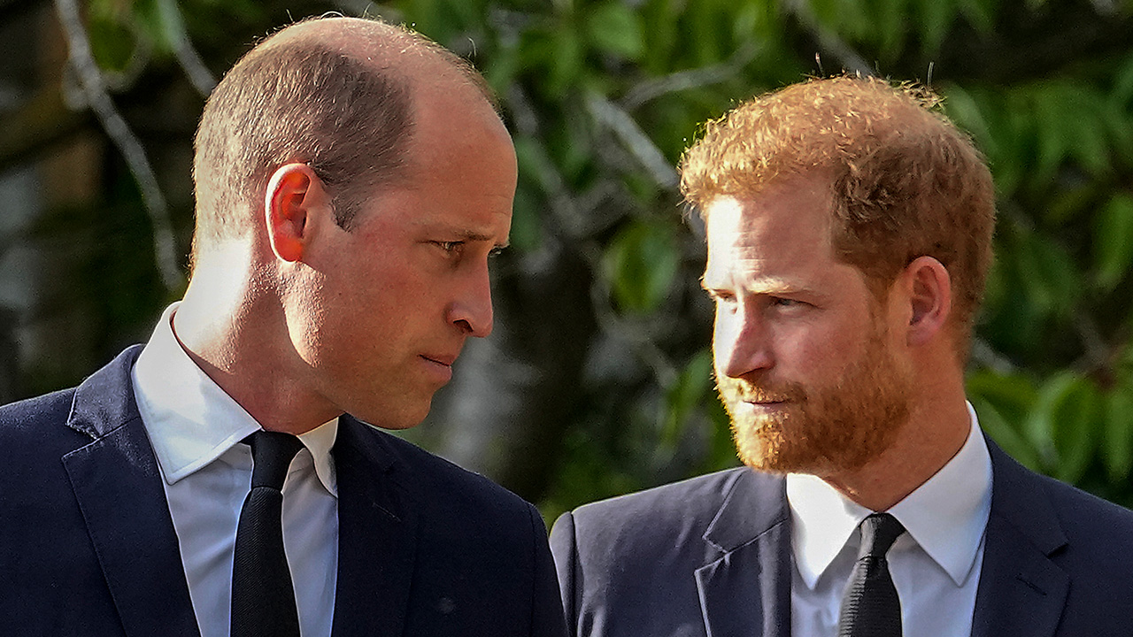 Prince Harry's visit to see King Charles III didn't bring reconciliation with William - Vimarsana News