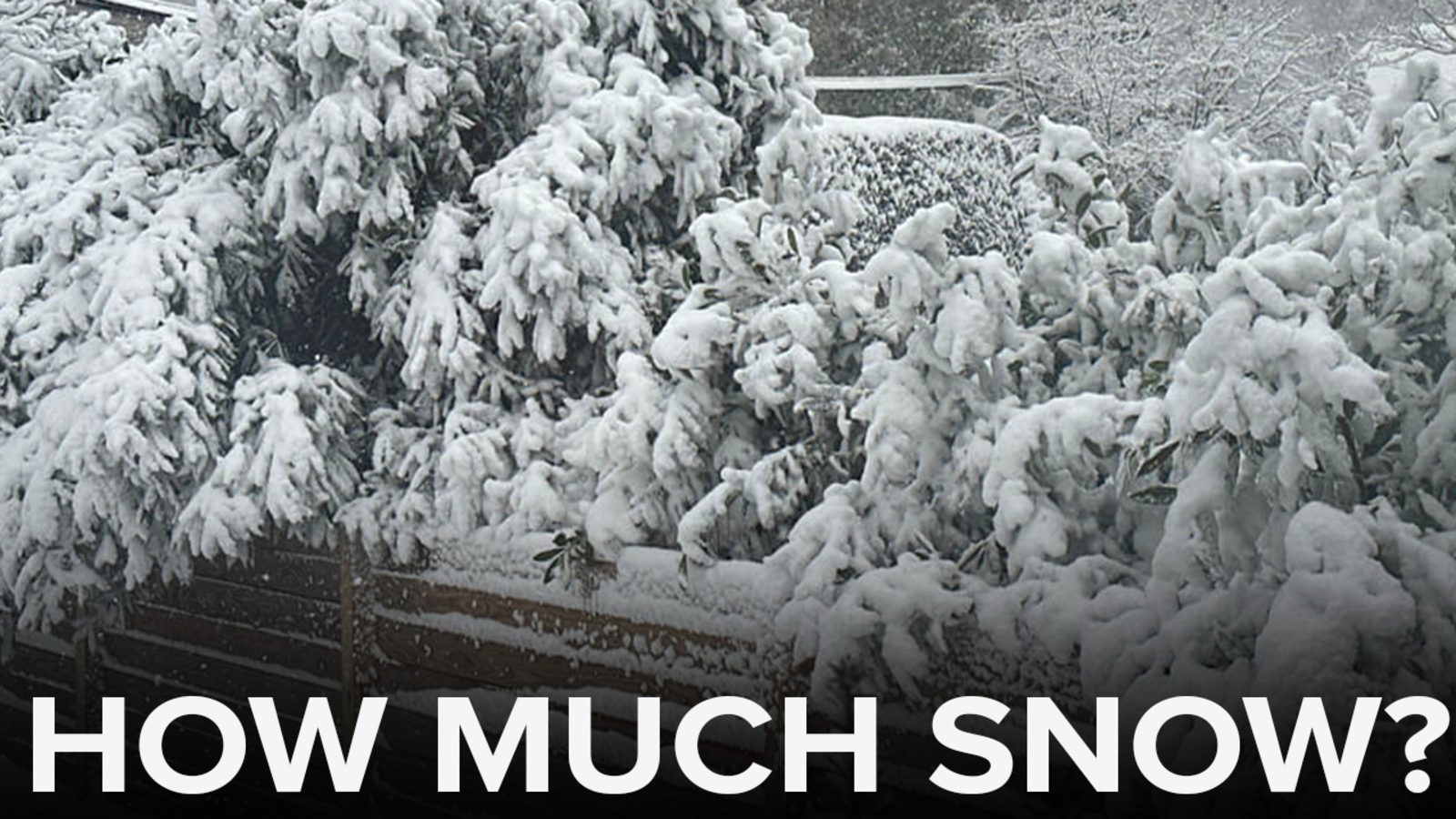 Snowfall totals from winter storm on Feb 13, 2024 around the New York, Tri-State area - Vimarsana News