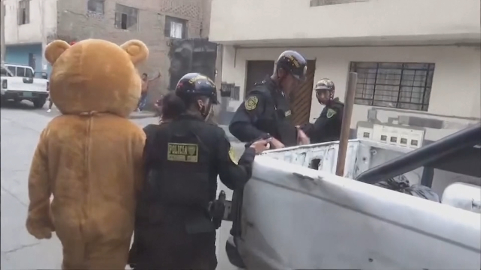 Drug bust: Peru policeman disguised as bear makes cocaine bust, arrest ahead of Valentine's Day in Lima | VIDEO - Vimarsana News