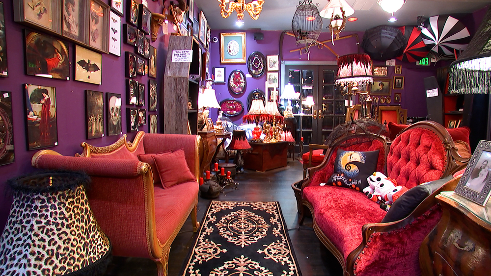 South Street shop DreamEerie has plenty for goths and spooky nerds