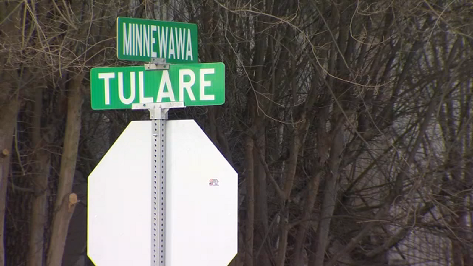 Improvements made to Southeast Fresno intersection after man almost hit
