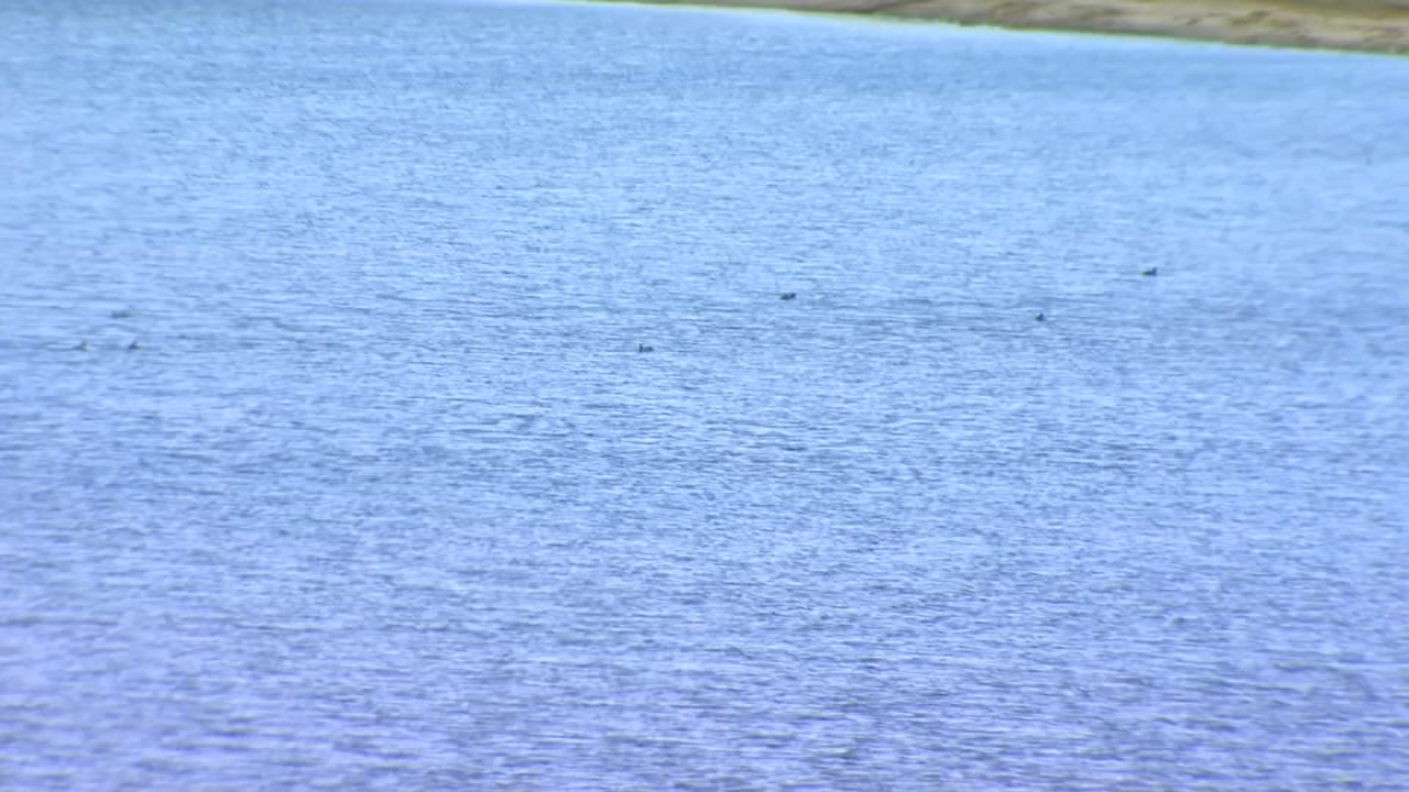 Local reservoirs below flood capacity despite recent storms