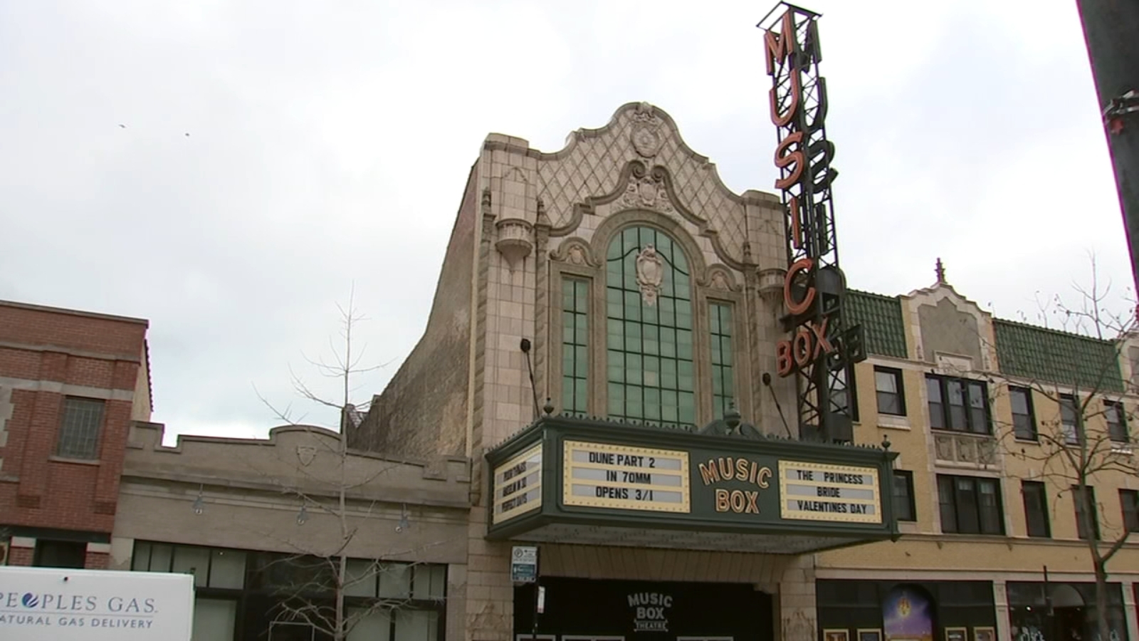 Chicago's Music Box Theatre puts on Melanin, Roots and Culture Black film series for Black History Month - Vimarsana News
