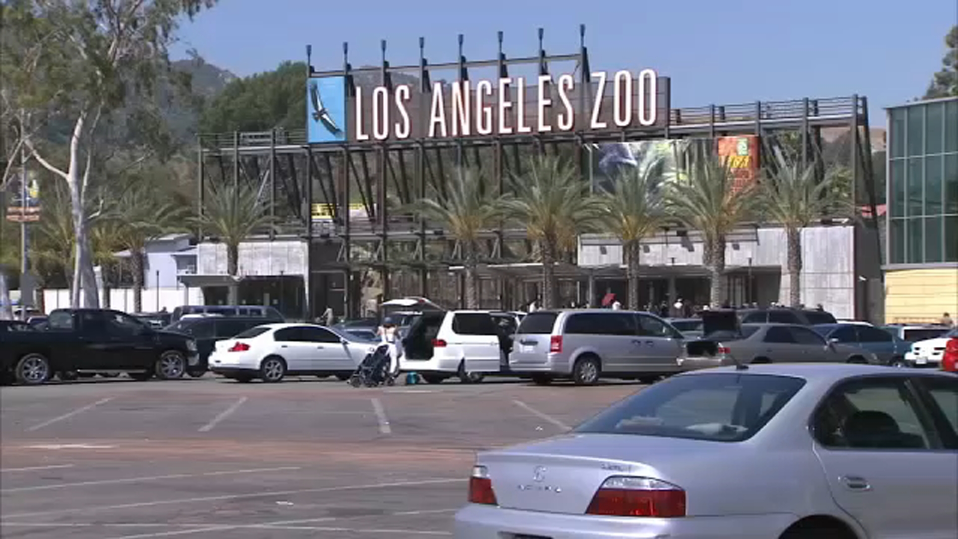 Zoológico de Los Ángeles advierte al público sobre boletos falsos