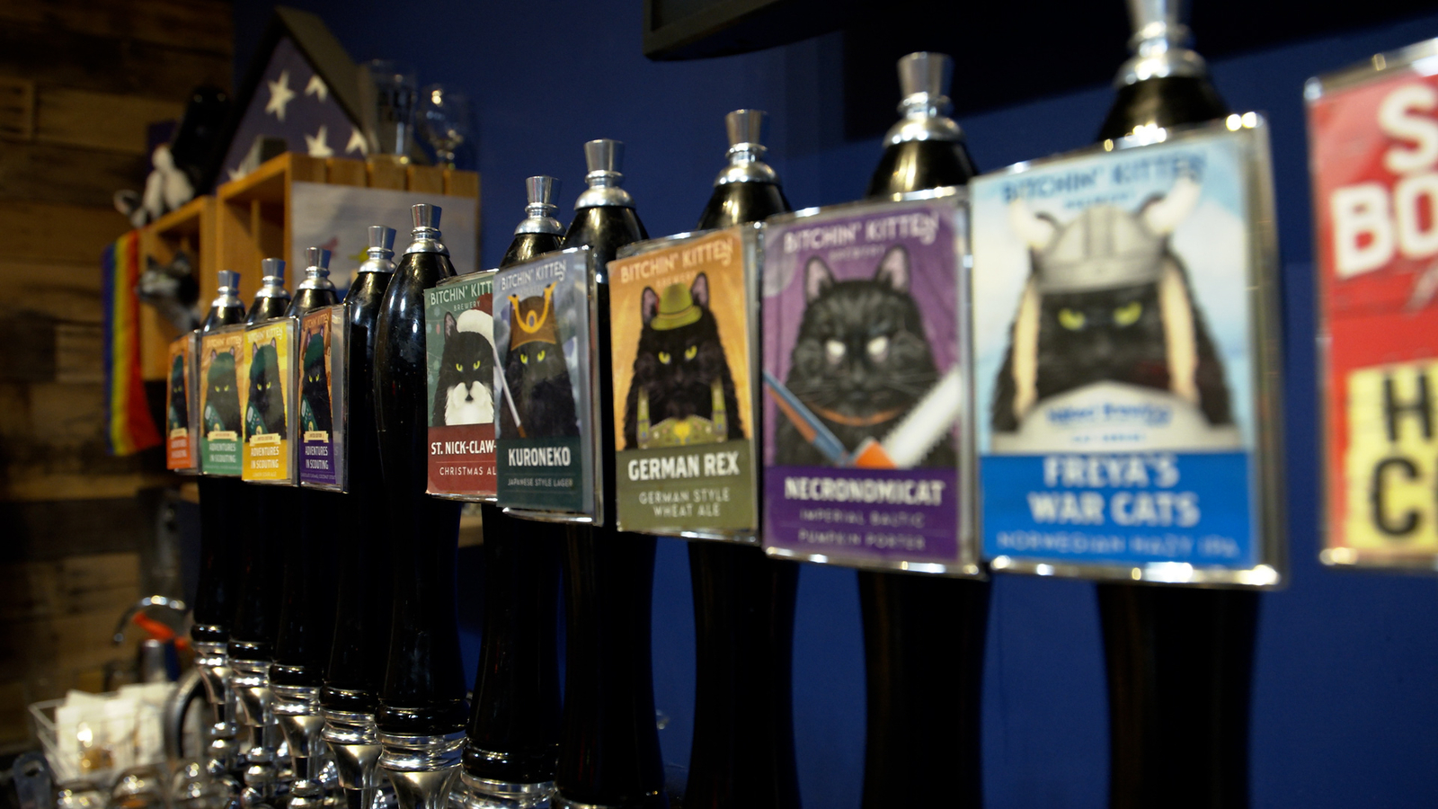Step inside Bitchin' Kitten Brewery, a catthemed brewery in