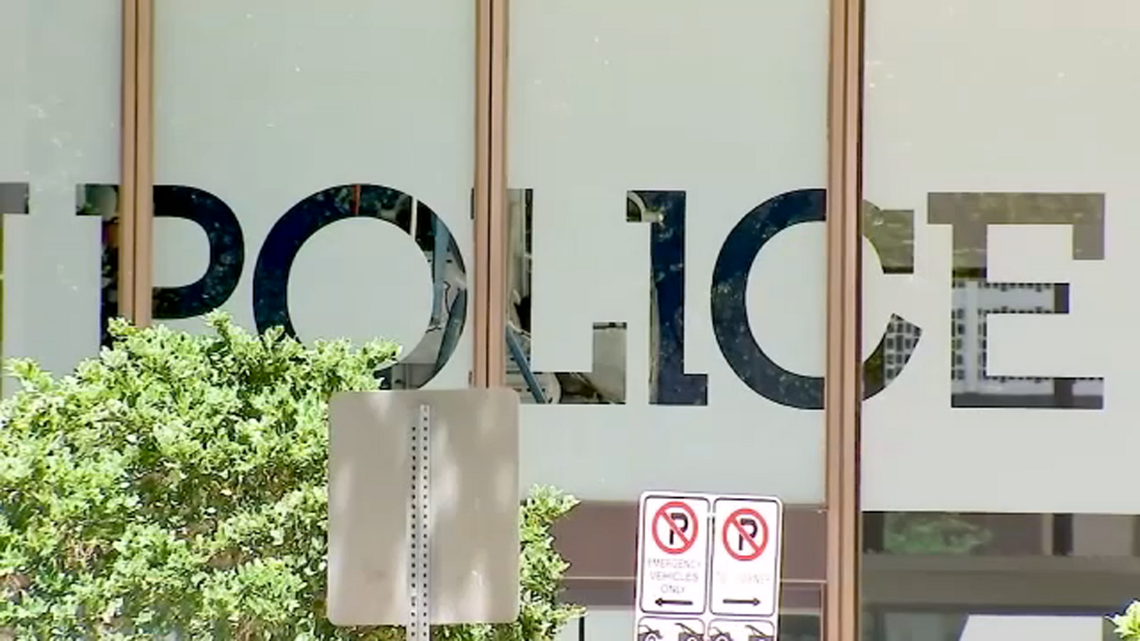 Houston police cases suspended: Expert tells domestic violence, sex assault victims to keep fighting over investigations on hold - Vimarsana News