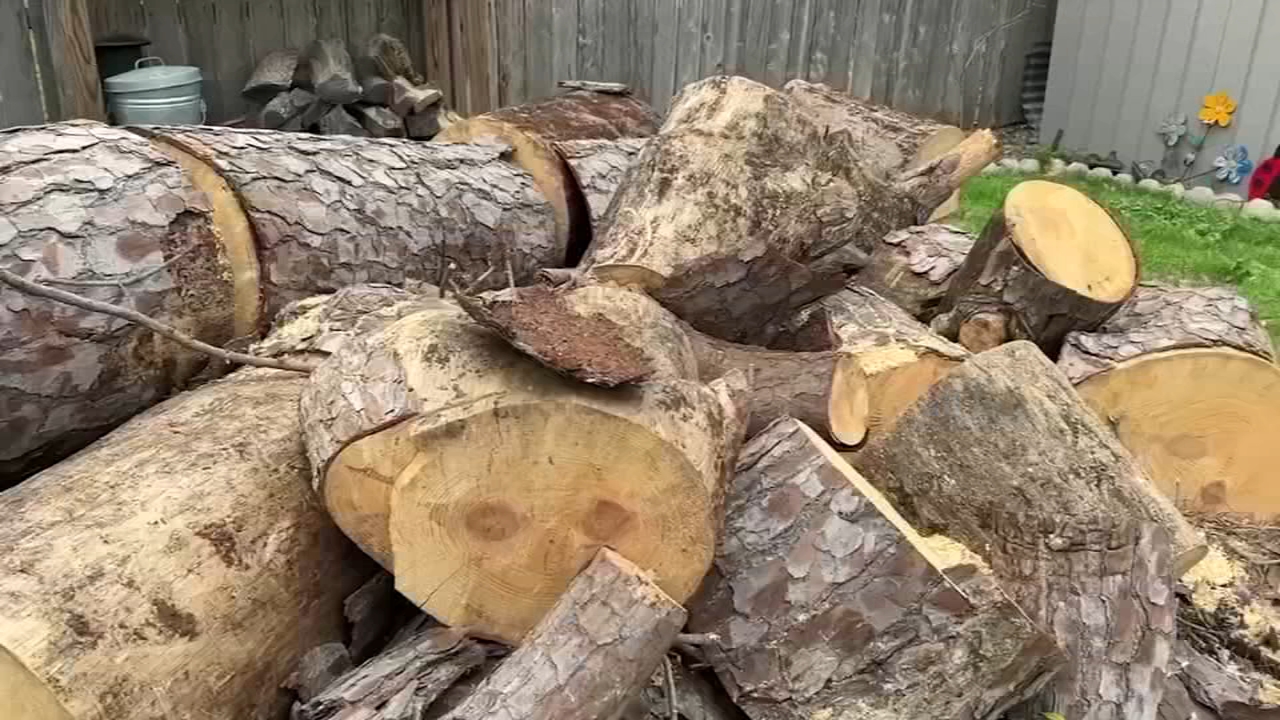 Baytown neighborhood shares frustration from tree cutting aftermath