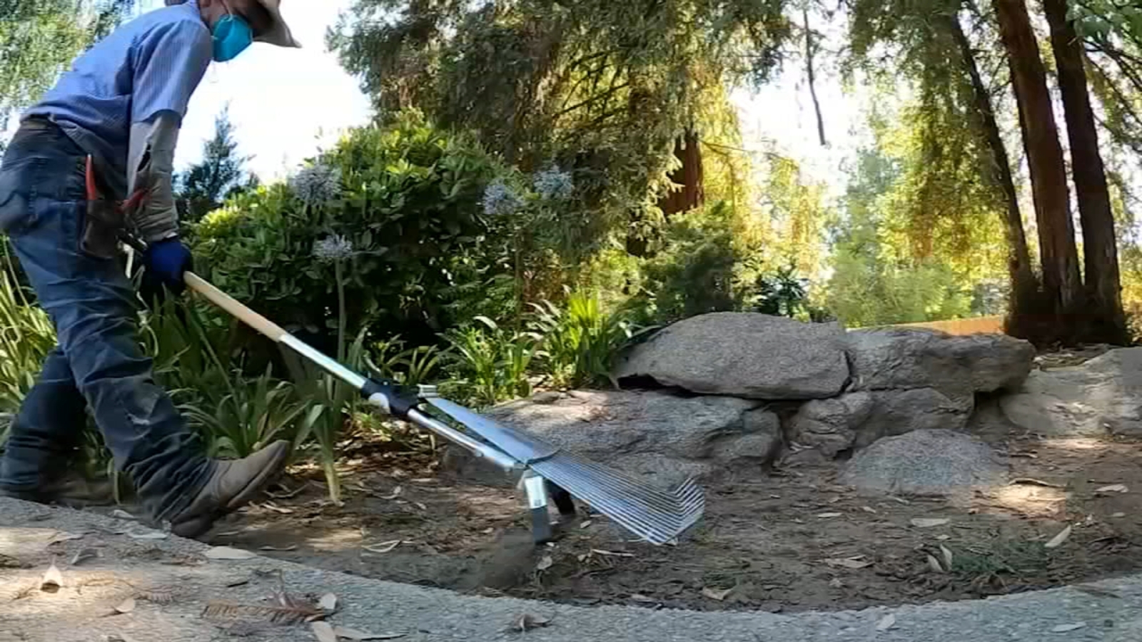 This locally made gardening tool is revolutionizing yardwork, meet the Rak-O