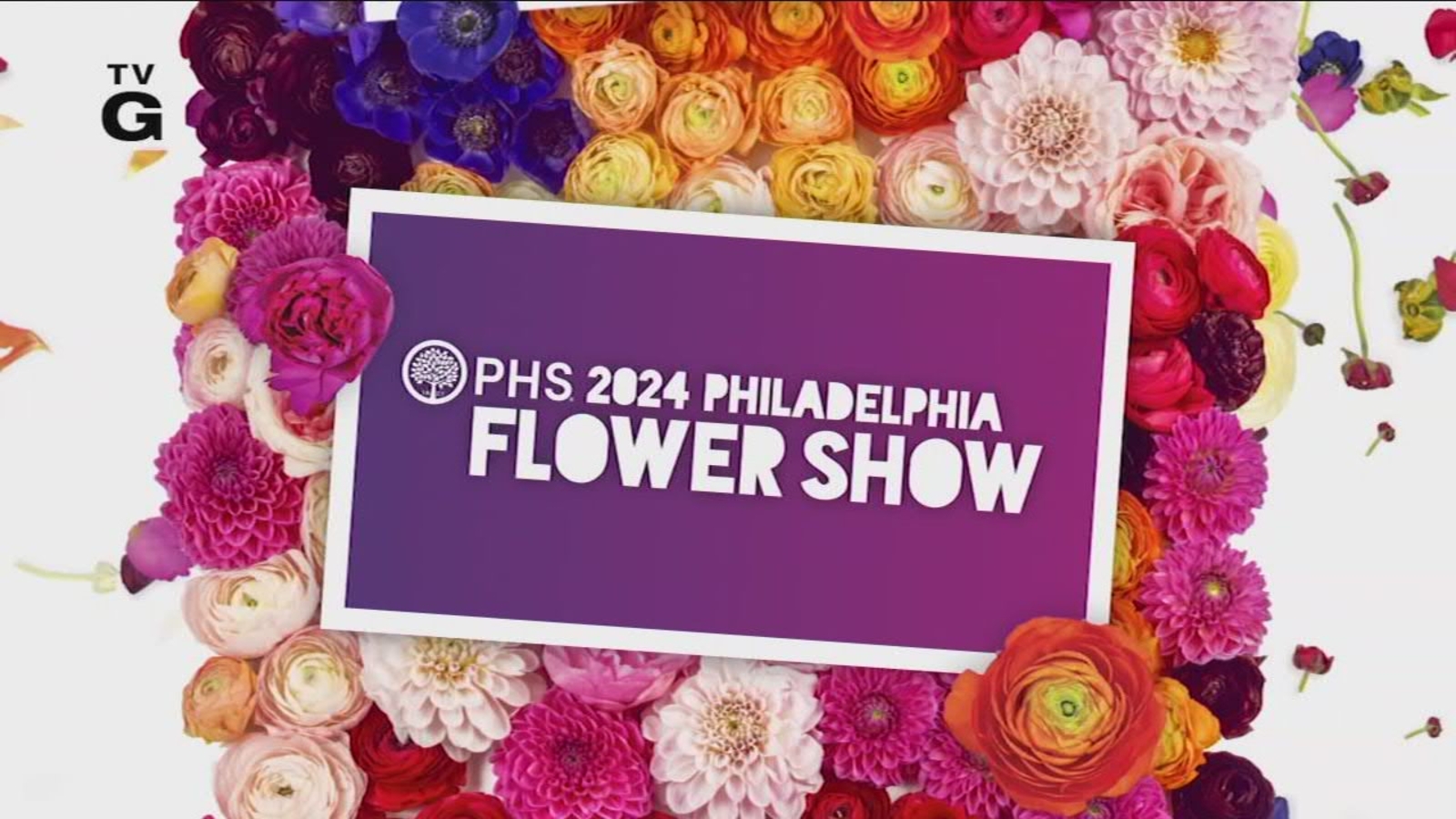2024 6abc Philadelphia Flower Show Special Preview 6abc Philadelphia