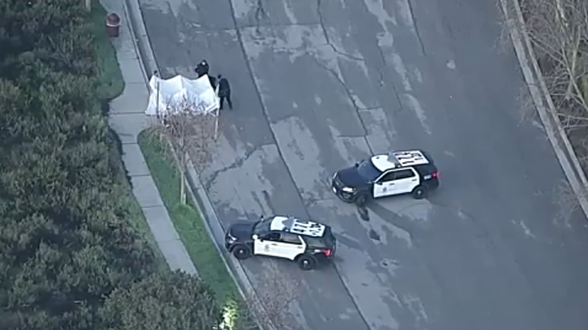 Hombre encontrado muerto a tiros cerca de ruta de excursión en Tarzana