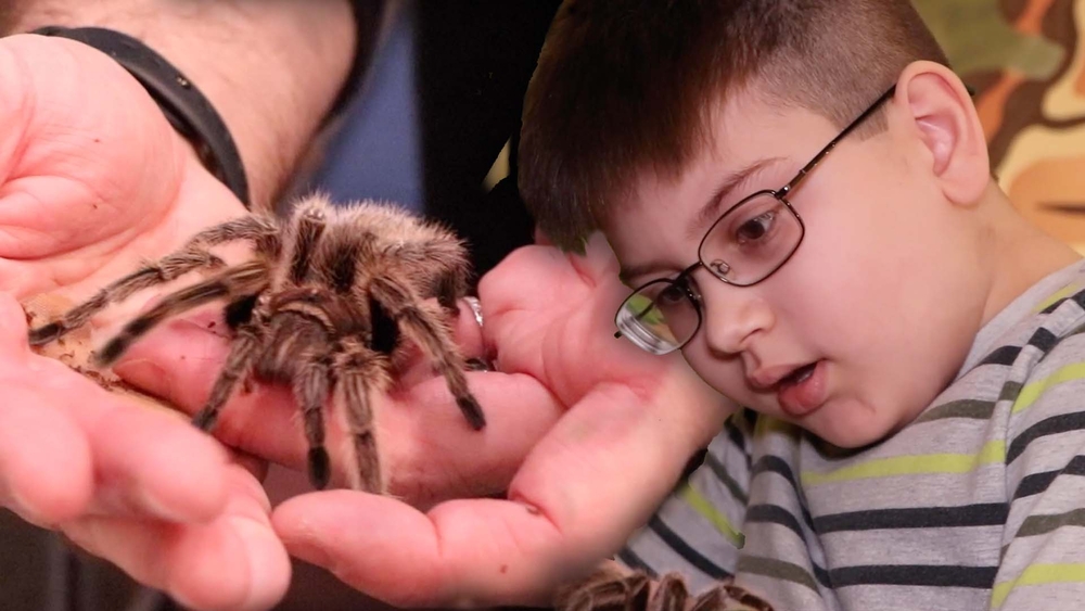 'Bugs rule the world' at Insectropolis in Toms River, New Jersey