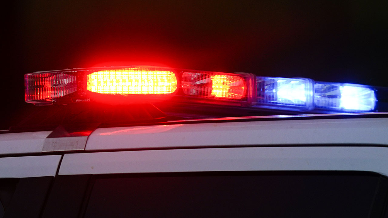 Queens shooting: 23-year-old woman shot outside lounge, police say - Vimarsana News
