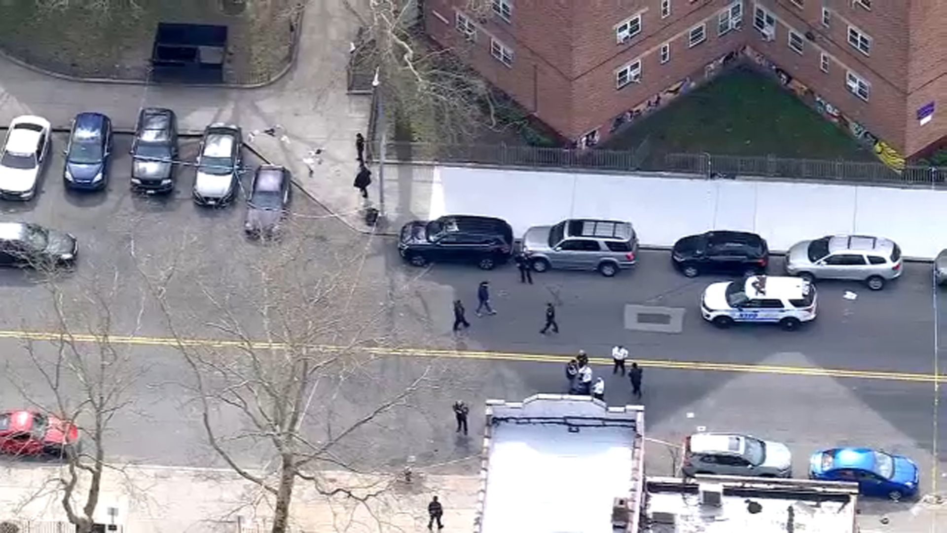 Man fatally shot outside Brownsville Houses
