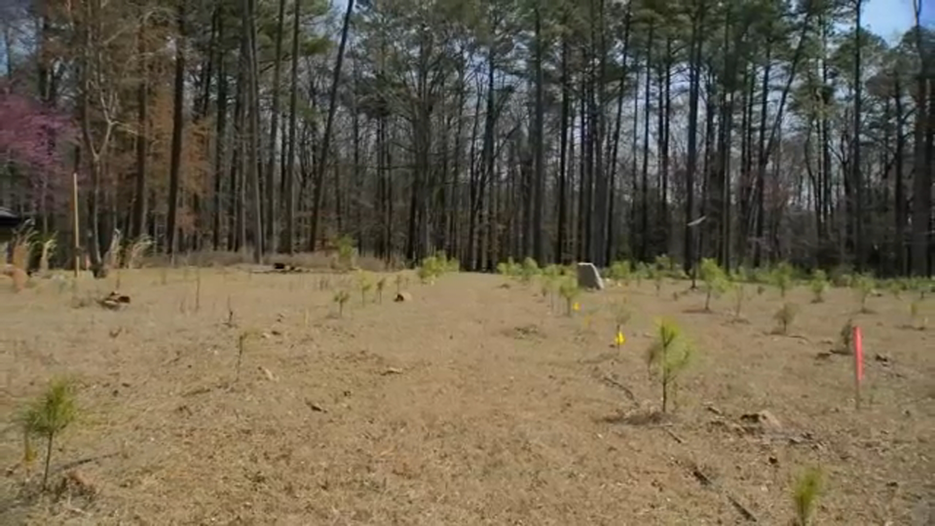 Eyewitness news at noon january 29 2024 abc11 raleigh durham
