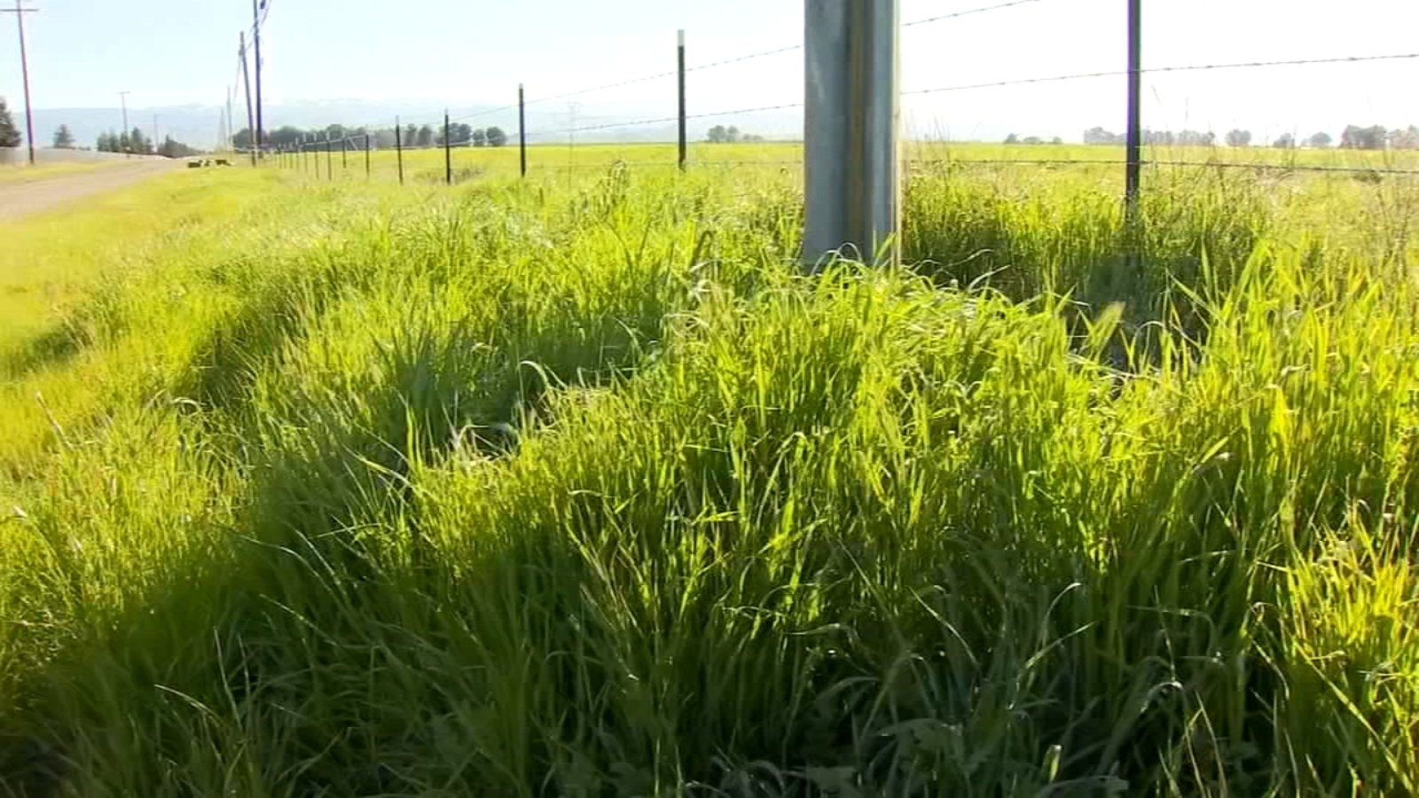 Officials urge Fresno County residents to clear brush before temps peak