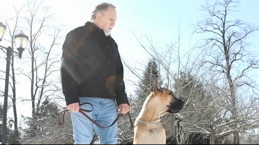 New Jersey man rescued from trauma by dogs now pays it forward