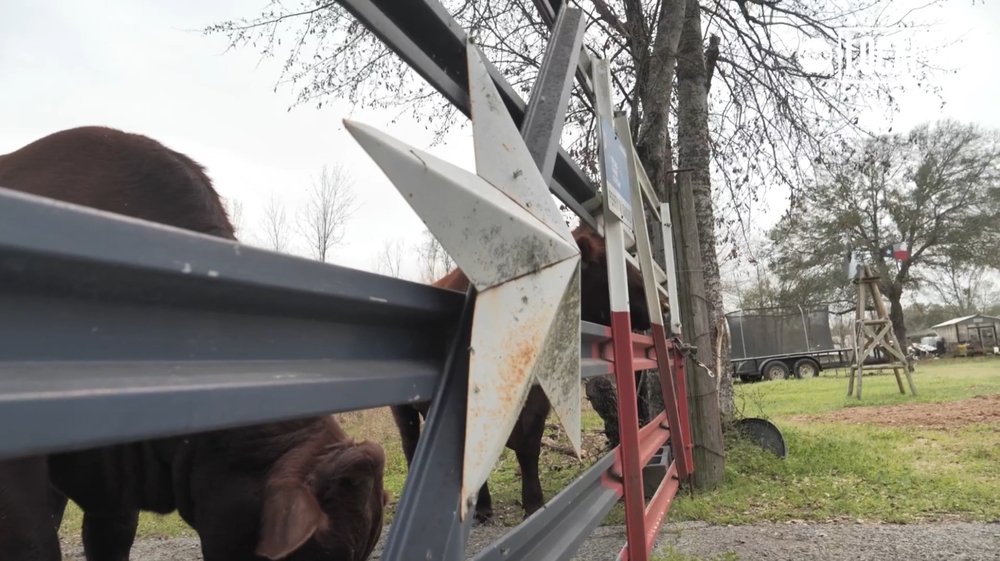 Katy ranch passed down to generations of women
