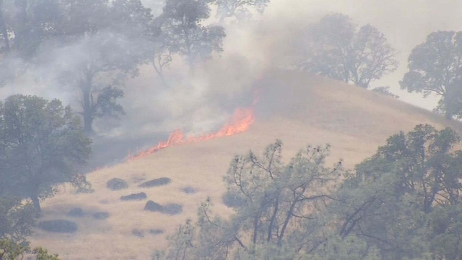 Cold Fire burns 4,600 acres, is 5 percent contained ABC7 San Francisco
