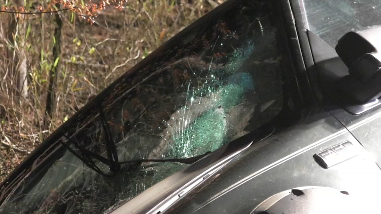 Man injured, crashed car after trying to avoid fallen tree near NC Highway 217