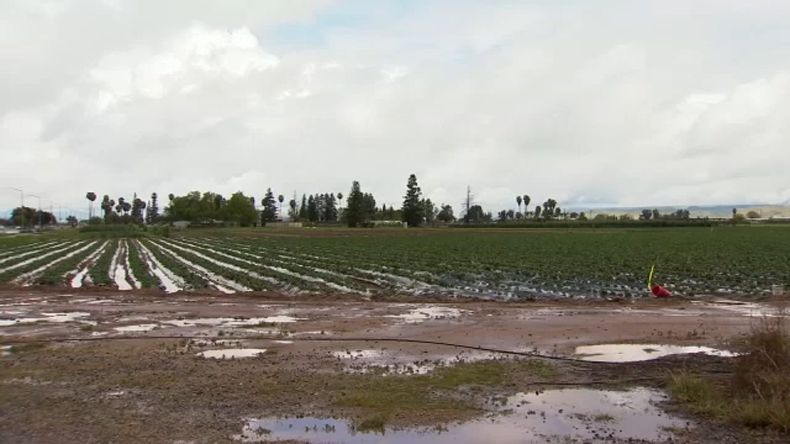 Central Valley sees steady rainfall from weekend storms