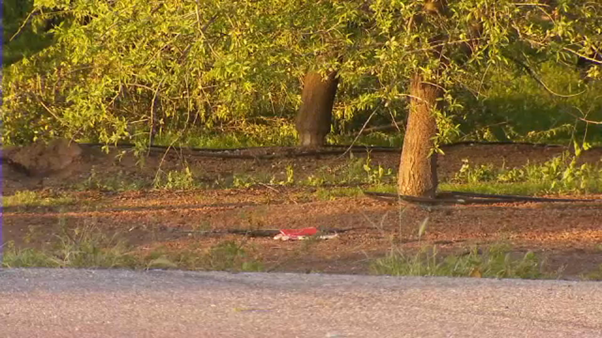 World Ag Expo Tulare, California