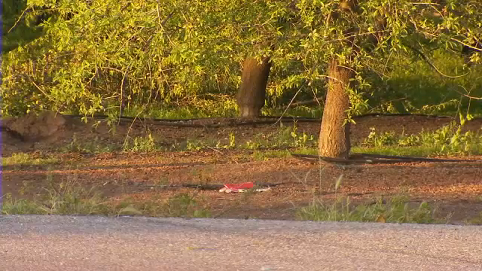 2 killed after car crash in Fresno County