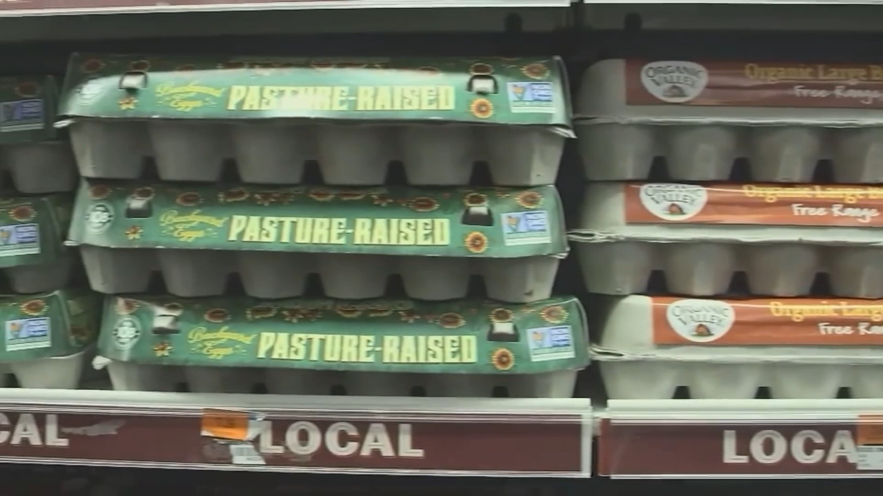 South Bay residents prep for Easter holiday, despite high egg prices
