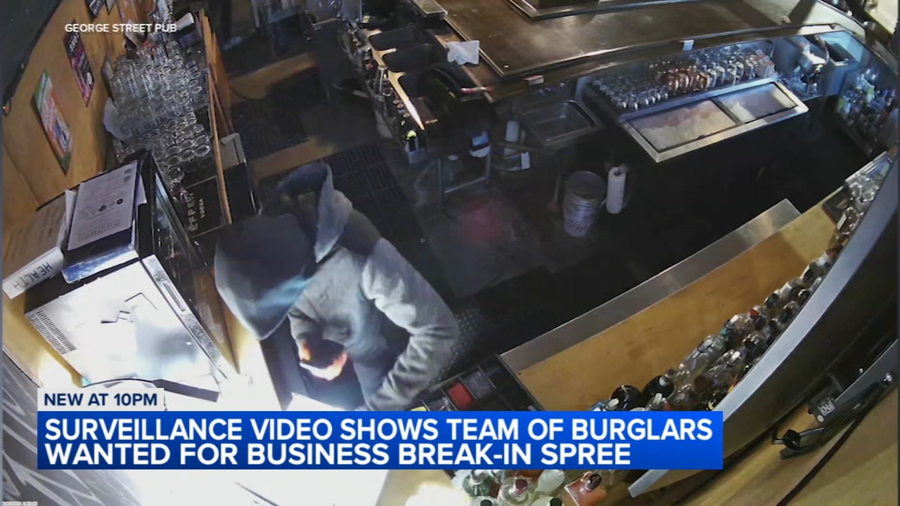 Chicago burglars hit 7 businesses in 2-hour spree