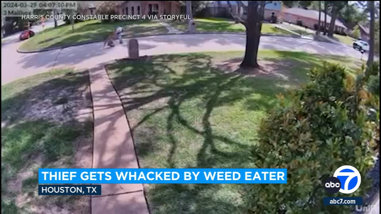 Texas yard worker hurls weed wacker at alleged thieves